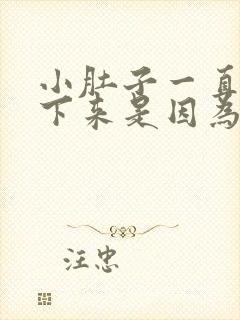 小肚子一直减不下来是因为湿气太重吗