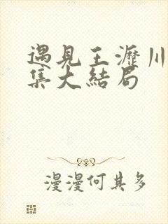 遇见王沥川56集大结局