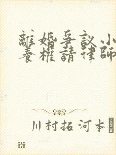 离婚争议小孩抚养权请律师要多少钱