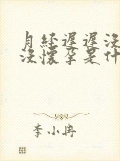 月经迟迟没来又没怀孕是什么原因