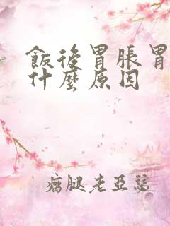 饭后胃胀胃酸是什么原因