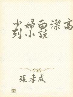 少妇白洁高义系列小说