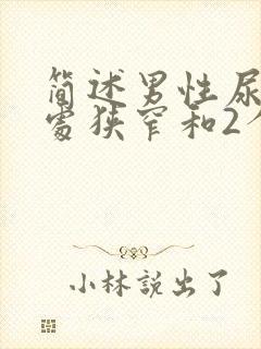 简述男性尿道3处狭窄和2个弯曲