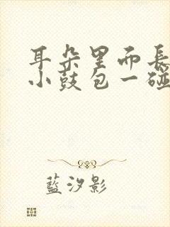 耳朵里面长了个小鼓包一碰就疼用什么药