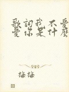 歌词我不爱你谁爱你是什么歌