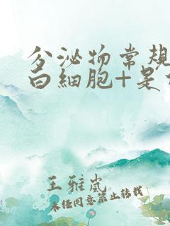 分泌物常规检查白细胞+是什么意思