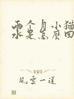 两个月小猫吐黄水是怎么回事