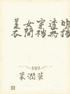 美女穿透明连体衣开裆无挡