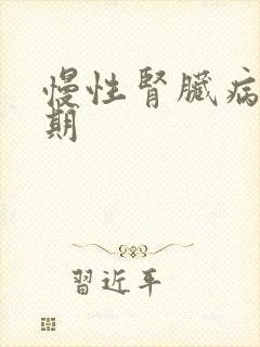 慢性肾脏病,5期