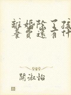 离婚除了孩子抚养费还有什么费用