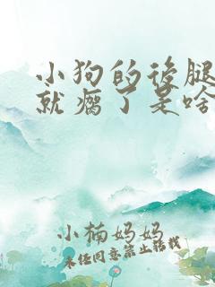 小狗的后腿突然就瘸了是啥原因