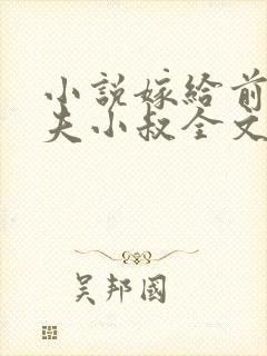 小说嫁给前未婚夫小叔全文阅读