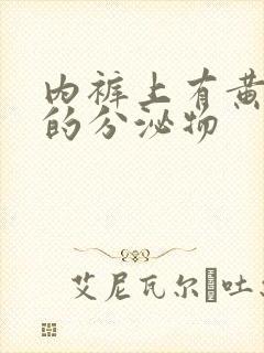 内裤上有黄黑色的分泌物