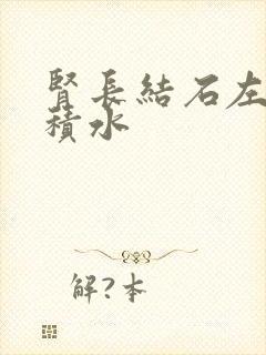 肾长结石左肾脏积水