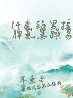 14岁的男孩子脾气暴躁易怒怎么回事