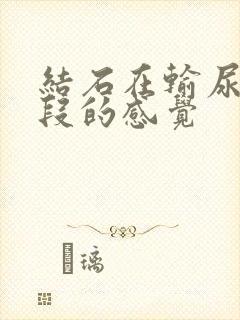 结石在输尿管下段的感觉