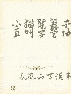 小猫关笼子里一直叫要管他么