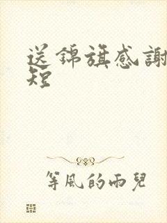 送锦旗感谢语简短