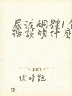 尿液酮体1个加号说明什么