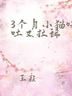 3个月小猫咪又吐又拉稀