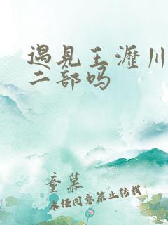 遇见王沥川有第二部吗