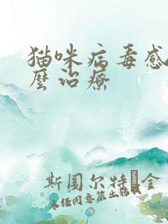 猫咪病毒感染怎么治疗