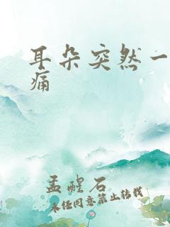 耳朵突然一阵刺痛