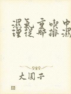 湿气重吃中药调理从哪排湿气