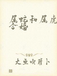 属蛇和属虎合不合婚