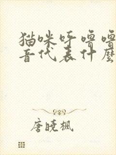 猫咪呼噜噜的声音代表什么