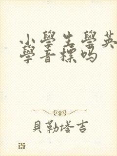 小学生学英语用学音标吗