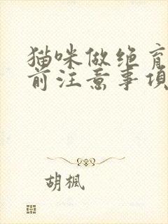 猫咪做绝育手术前注意事项