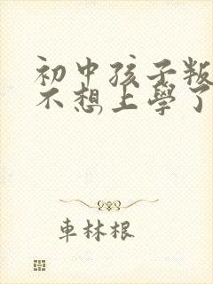 初中孩子叛逆期不想上学了咋办