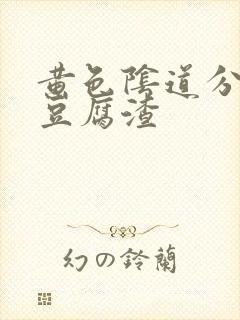 黄色阴道分泌物豆腐渣