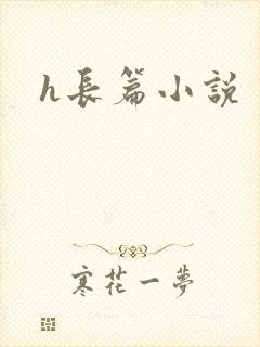 h长篇小说