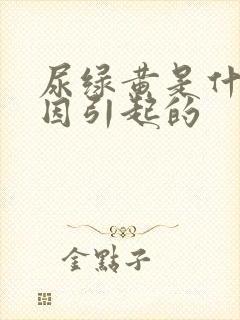 尿绿黄是什么原因引起的