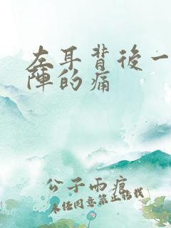 左耳背后一阵一阵的痛