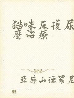 猫咪反复尿闭怎么治疗