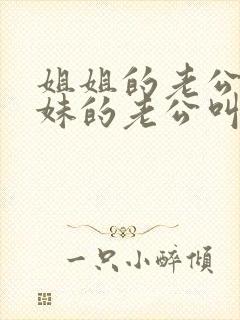 姐姐的老公叫妹妹的老公叫什么