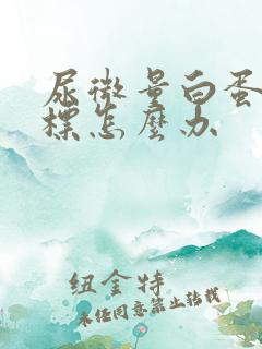 尿微量白蛋白超标怎么办