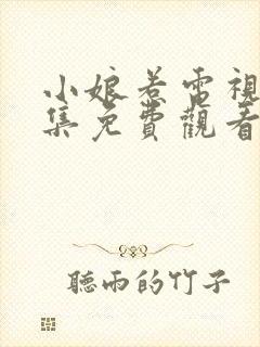 小娘惹电视剧全集免费观看