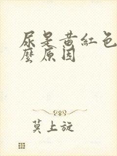 尿是黄红色是什么原因