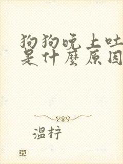 狗狗晚上吐黄水是什么原因怎么办