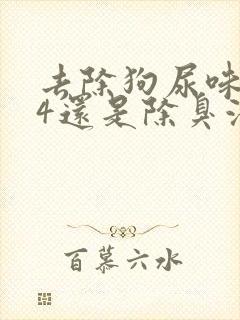 去除狗尿味用84还是除臭液