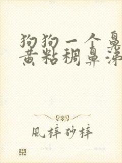 狗狗一个鼻孔流黄粘稠鼻涕