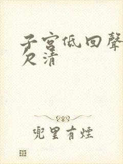 子宫低回声边界欠清