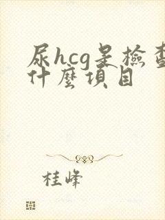 尿hcg是检查什么项目