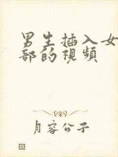 男生插入女生下部的视频