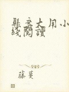 悬案大用小说在线阅读