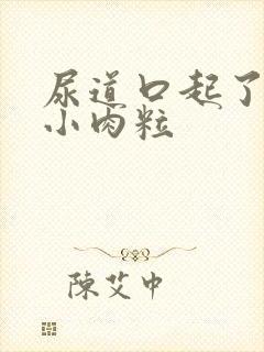 尿道口起了一堆小肉粒